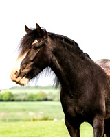 20210521 Simon